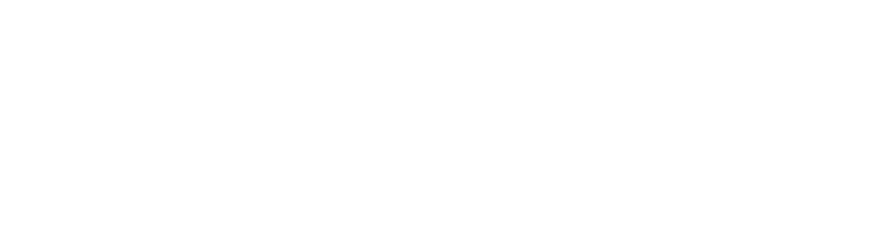 xceleon-logo